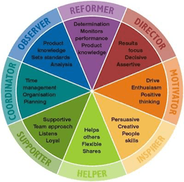 8 Behaviour Personality Profile - Insights Discovery Wheel – Personal Development Profiles