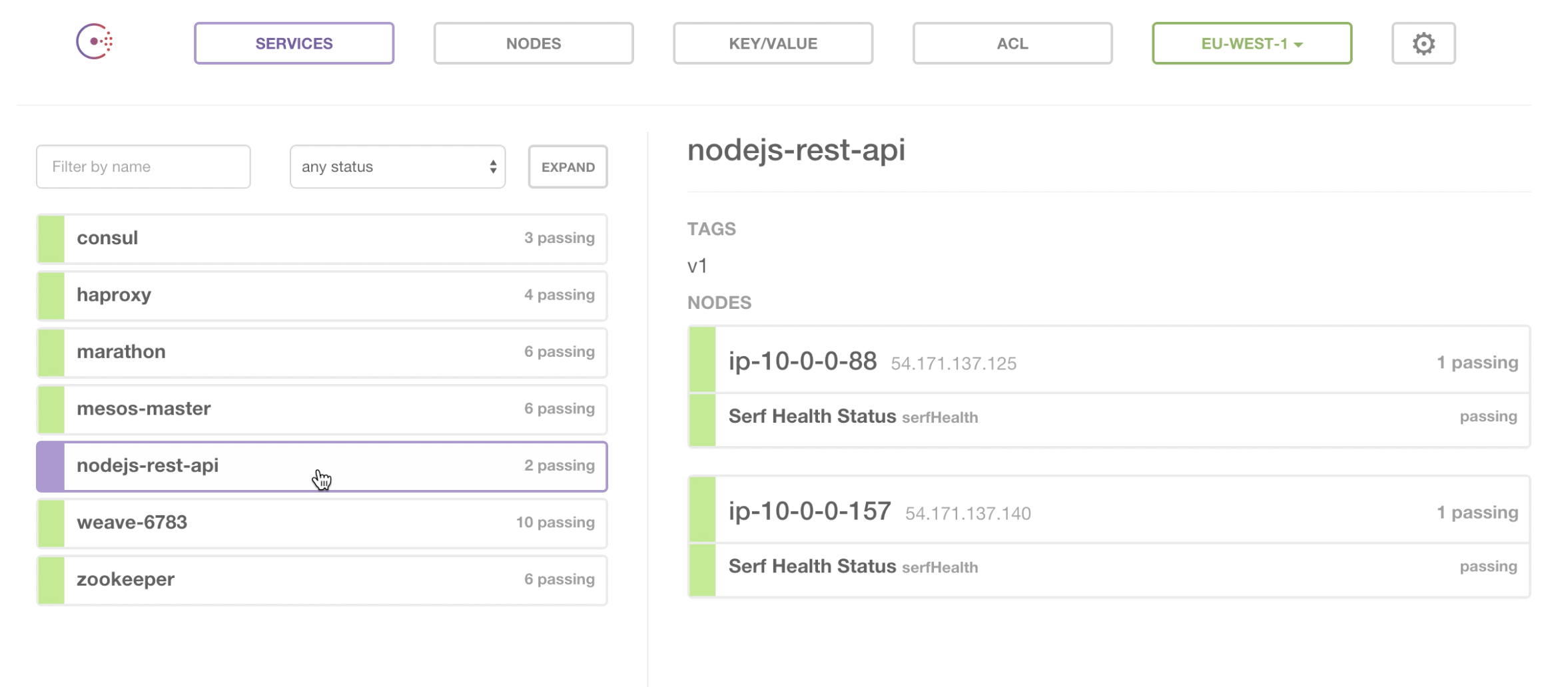 Consul NodeJS services