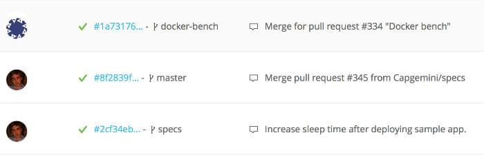 Fig 1. Wercker builds